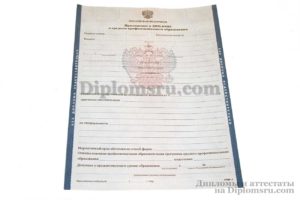 приложение к диплому спо до 2013 цена